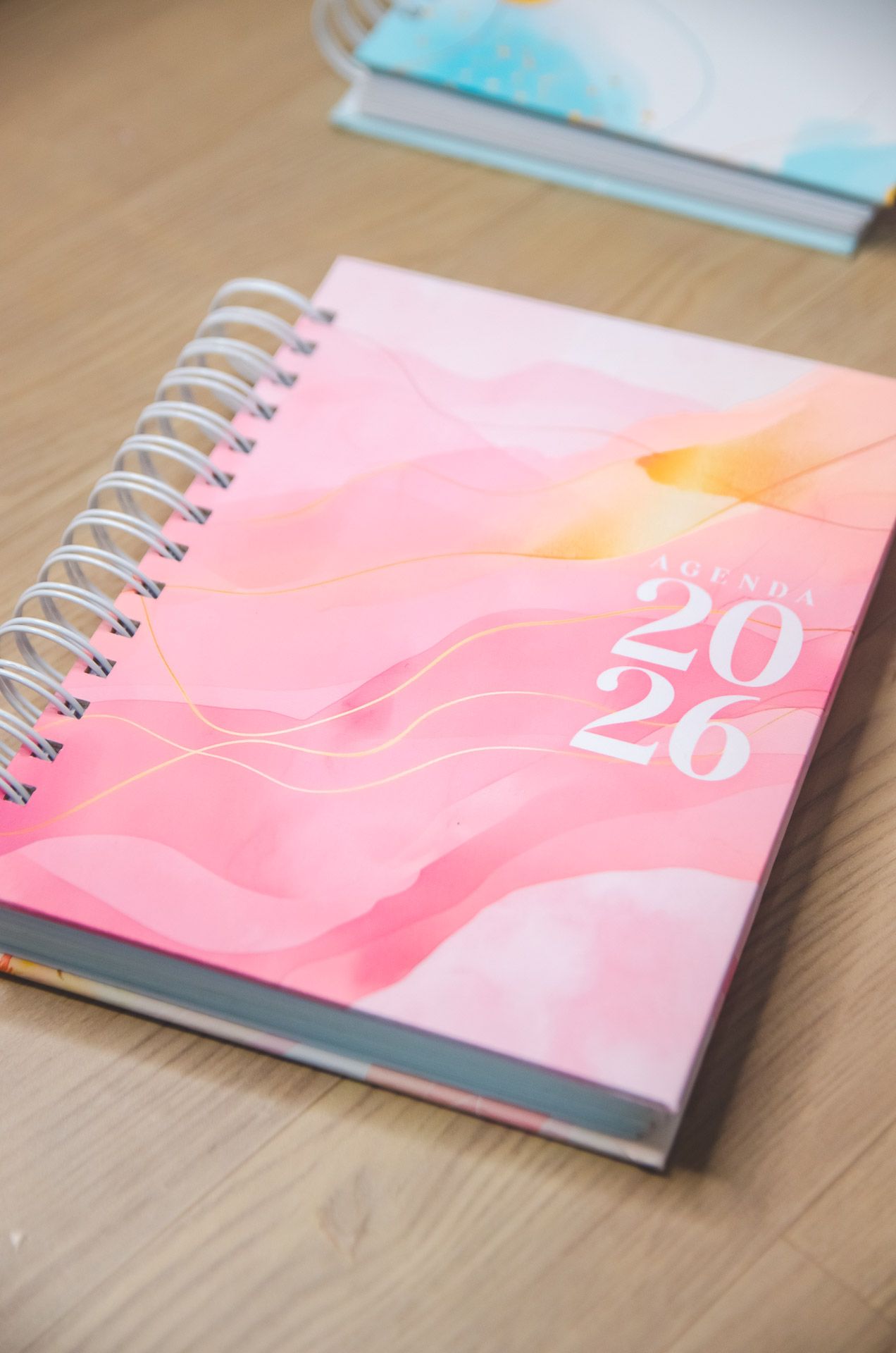 Agendas Vagalume Amarantto (14)