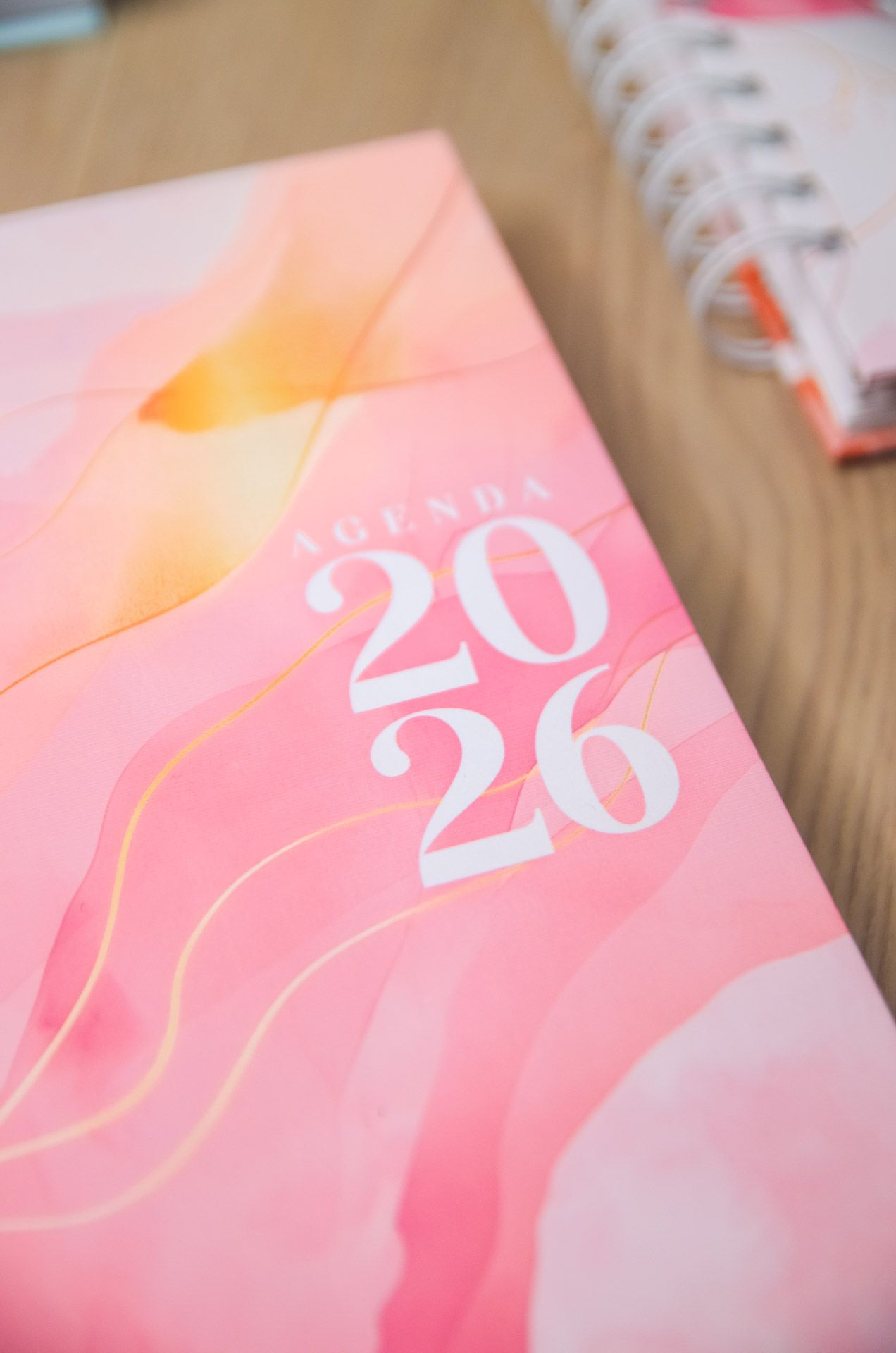 Agendas Vagalume Amarantto (16)