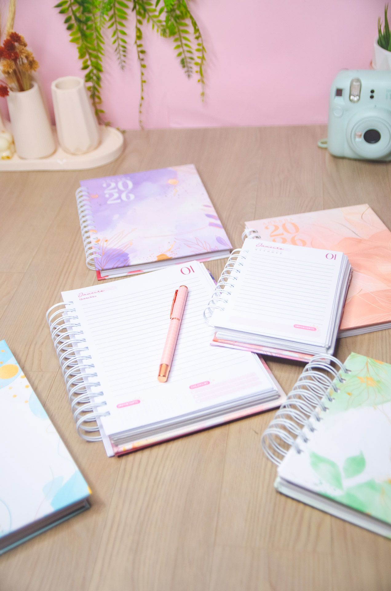 Agendas Vagalume Amarantto (17)