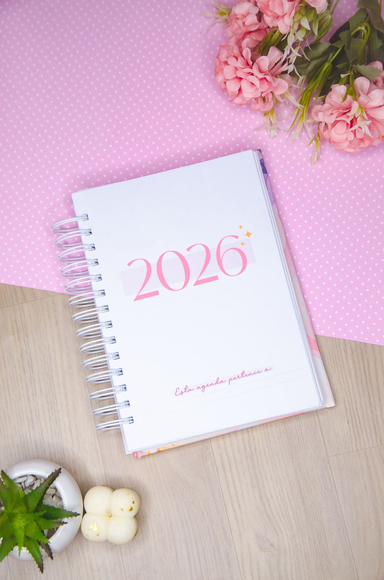 Agendas Vagalume Amarantto (48)