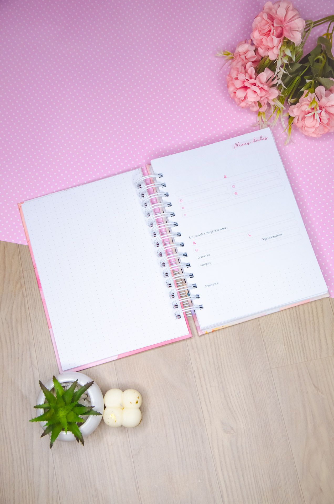 Agendas Vagalume Amarantto (49)