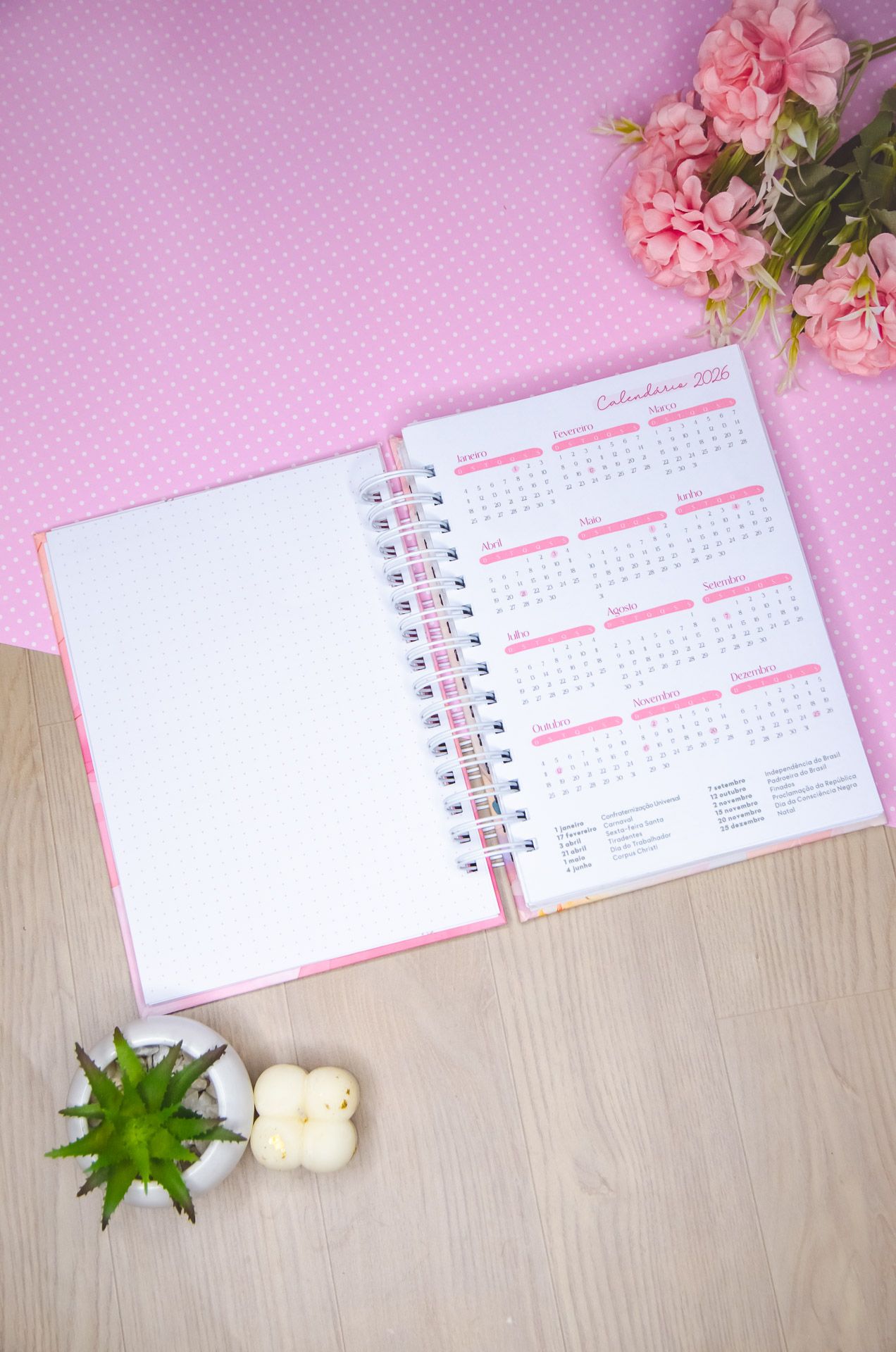 Agendas Vagalume Amarantto (50)