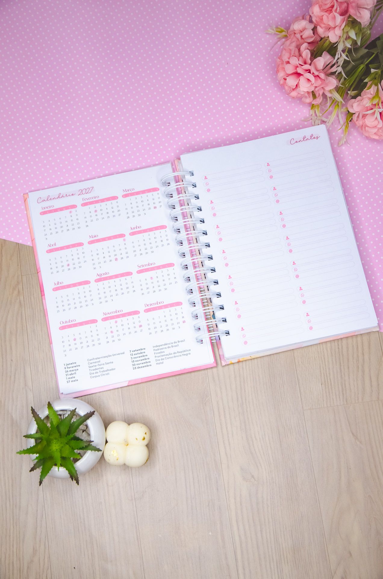 Agendas Vagalume Amarantto (51)