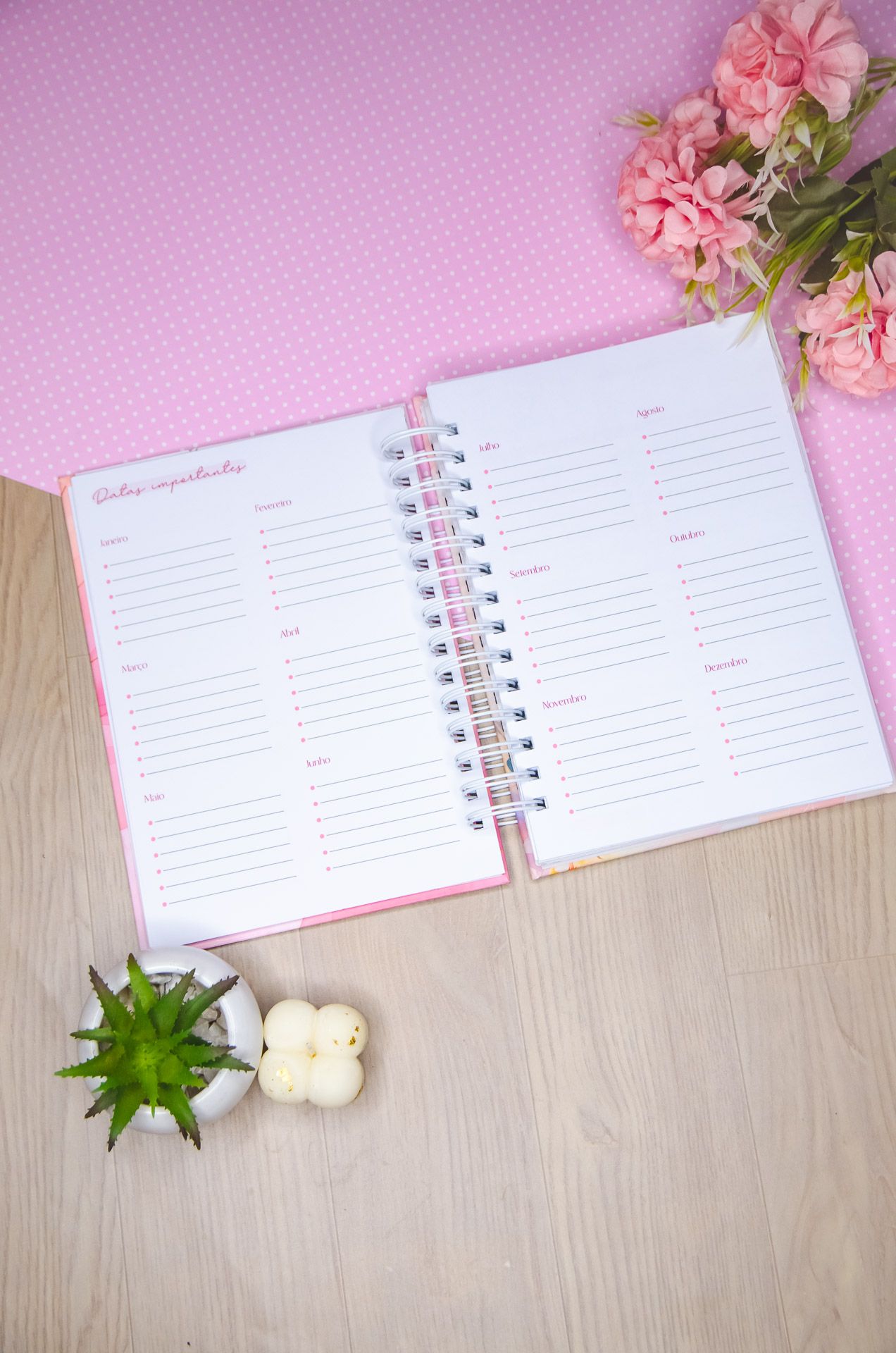 Agendas Vagalume Amarantto (53)