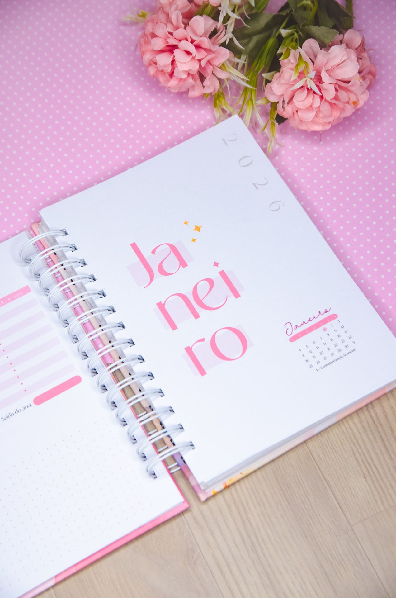 Agendas Vagalume Amarantto (57)